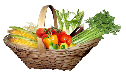 野菜バスケット
